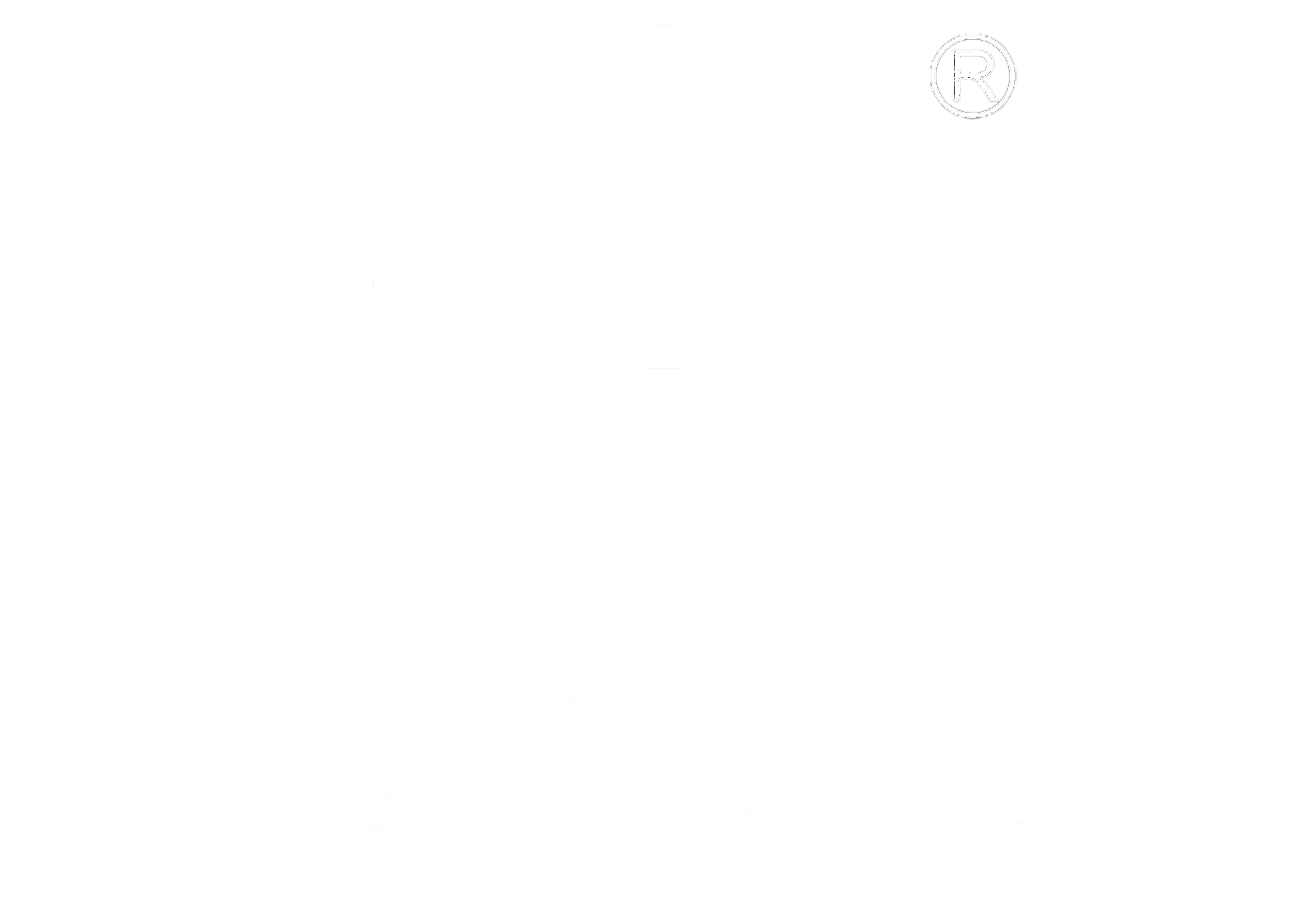 掌门熊猫 MasterPanda